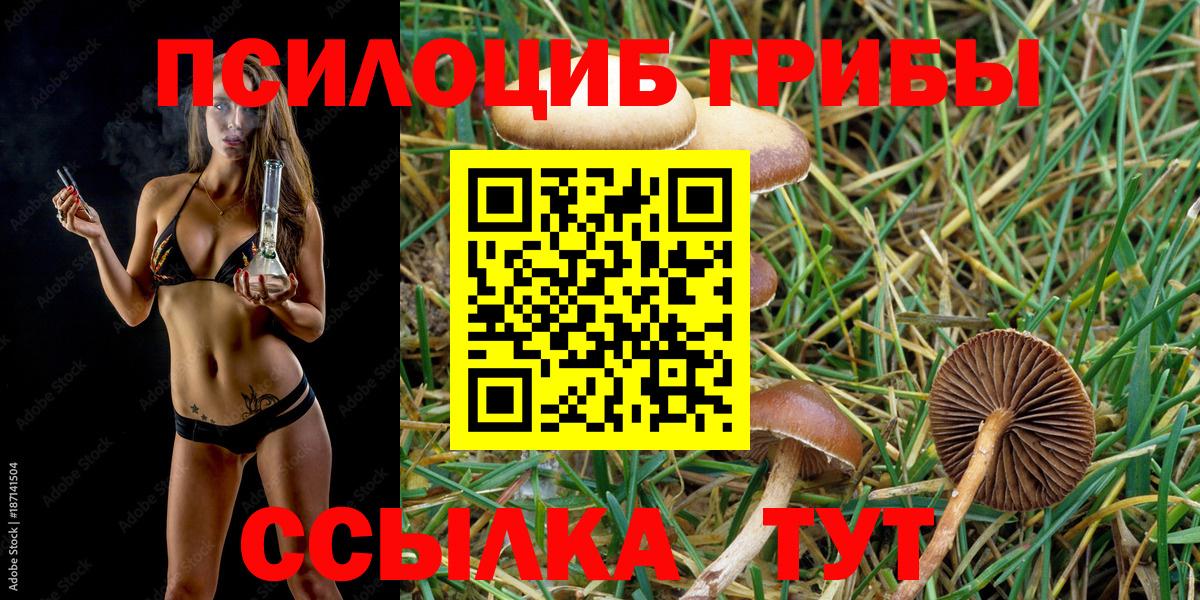 Псилоцибиновые грибы мицелий Верхняя Салда